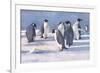 Emperor Penguins-G Marston-Framed Premium Giclee Print