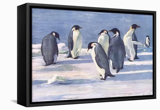 Emperor Penguins-G Marston-Framed Stretched Canvas