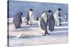 Emperor Penguins-G Marston-Stretched Canvas