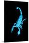 Emperor Scorpion (Pandinus Imperator) Fluorescing under Ultraviolet Light-Adrian Davies-Mounted Photographic Print