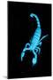 Emperor Scorpion (Pandinus Imperator) Fluorescing under Ultraviolet Light-Adrian Davies-Mounted Photographic Print