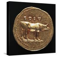 Emperor Tito Aureus Depicting Bull, Verso, Roman Coins AD-null-Stretched Canvas