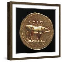 Emperor Tito Aureus Depicting Bull, Verso, Roman Coins AD-null-Framed Giclee Print