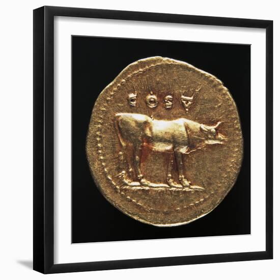 Emperor Tito Aureus Depicting Bull, Verso, Roman Coins AD-null-Framed Giclee Print