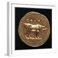 Emperor Tito Aureus Depicting Bull, Verso, Roman Coins AD-null-Framed Giclee Print