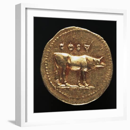 Emperor Tito Aureus Depicting Bull, Verso, Roman Coins AD-null-Framed Giclee Print