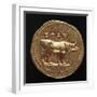 Emperor Tito Aureus Depicting Bull, Verso, Roman Coins AD-null-Framed Giclee Print