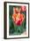 Emperor Tulip I-Dana Styber-Framed Photographic Print