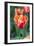 Emperor Tulip I-Dana Styber-Framed Photographic Print