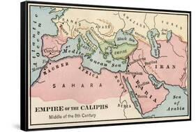 Empire of the Arab Caliphs, Middle of the 8th Century-null-Framed Stretched Canvas