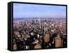 Empire State Building, 1997-null-Framed Stretched Canvas