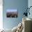 Empire State Building, 1997-null-Mounted Photographic Print displayed on a wall