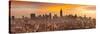 Empire State Building and Midtown Skyline, Manhattan, New York City, USA-Jon Arnold-Stretched Canvas