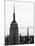 Empire State Building and One World Trade Center (1 WTC), Manhattan, New York-Philippe Hugonnard-Mounted Premium Photographic Print