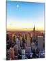 Empire State Building and One World Trade Center at Sunset, Manhattan, New York-Philippe Hugonnard-Mounted Premium Photographic Print