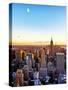 Empire State Building and One World Trade Center at Sunset, Manhattan, New York-Philippe Hugonnard-Stretched Canvas