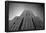 Empire State Building From Street B/W-null-Framed Poster