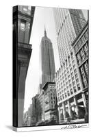 Empire State Building III-Laura Denardo-Stretched Canvas