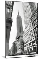 Empire State Building III-Laura Denardo-Mounted Art Print
