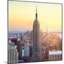 Empire State Building in New York City, USA-Jan Christopher Becke-Mounted Photographic Print