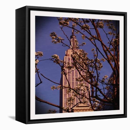 Empire State Building in the Spring, Manhattan, New York City-Sabine Jacobs-Framed Stretched Canvas