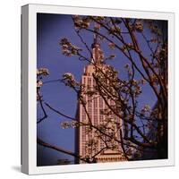 Empire State Building in the Spring, Manhattan, New York City-Sabine Jacobs-Stretched Canvas