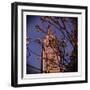 Empire State Building in the Spring, Manhattan, New York City-Sabine Jacobs-Framed Photographic Print