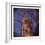 Empire State Building in the Spring, Manhattan, New York City-Sabine Jacobs-Framed Photographic Print