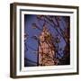 Empire State Building in the Spring, Manhattan, New York City-Sabine Jacobs-Framed Premium Photographic Print