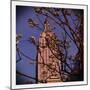 Empire State Building in the Spring, Manhattan, New York City-Sabine Jacobs-Mounted Premium Photographic Print