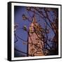 Empire State Building in the Spring, Manhattan, New York City-Sabine Jacobs-Framed Stretched Canvas