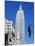 Empire State Building, Manhattan, New York City, New York, USA-Amanda Hall-Mounted Photographic Print