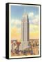 Empire State Building, New York City-null-Framed Stretched Canvas