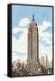 Empire State Building, New York City-null-Framed Stretched Canvas