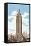 Empire State Building, New York City-null-Framed Stretched Canvas