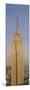 Empire State Building New York NY-null-Mounted Photographic Print