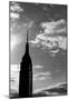 Empire State Building NYC-null-Mounted Poster