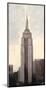 Empire State Building NYC-Talantbek Chekirov-Mounted Art Print