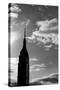 Empire State Building NYC-null-Stretched Canvas