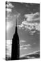 Empire State Building NYC-null-Stretched Canvas