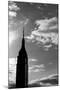 Empire State Building NYC-null-Mounted Photo