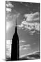 Empire State Building NYC-null-Mounted Photo