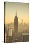 Empire State Building (One World Trade Center Behind), Manhattan, New York City, New York, USA-Jon Arnold-Stretched Canvas