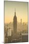 Empire State Building (One World Trade Center Behind), Manhattan, New York City, New York, USA-Jon Arnold-Mounted Premium Photographic Print