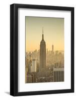 Empire State Building (One World Trade Center Behind), Manhattan, New York City, New York, USA-Jon Arnold-Framed Photographic Print