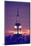 Empire State Building - Sunset - Manhattan - New York City - United States-Philippe Hugonnard-Mounted Photographic Print