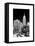 Empire State Building View in Winter-Philippe Hugonnard-Framed Stretched Canvas