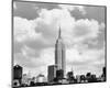 Empire State Building-Igor Maloratsky-Mounted Art Print