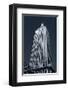 Empire State Building-null-Framed Art Print