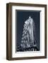 Empire State Building-null-Framed Art Print